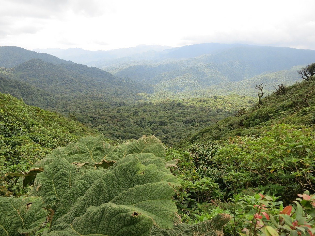 Costa Rica